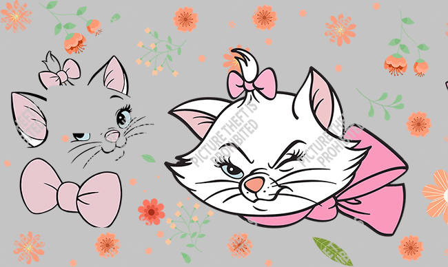 Bank  Card Sticker-BC-1376